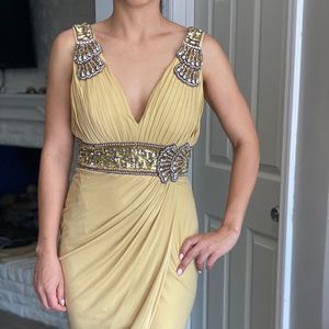 Terani formal dress midi